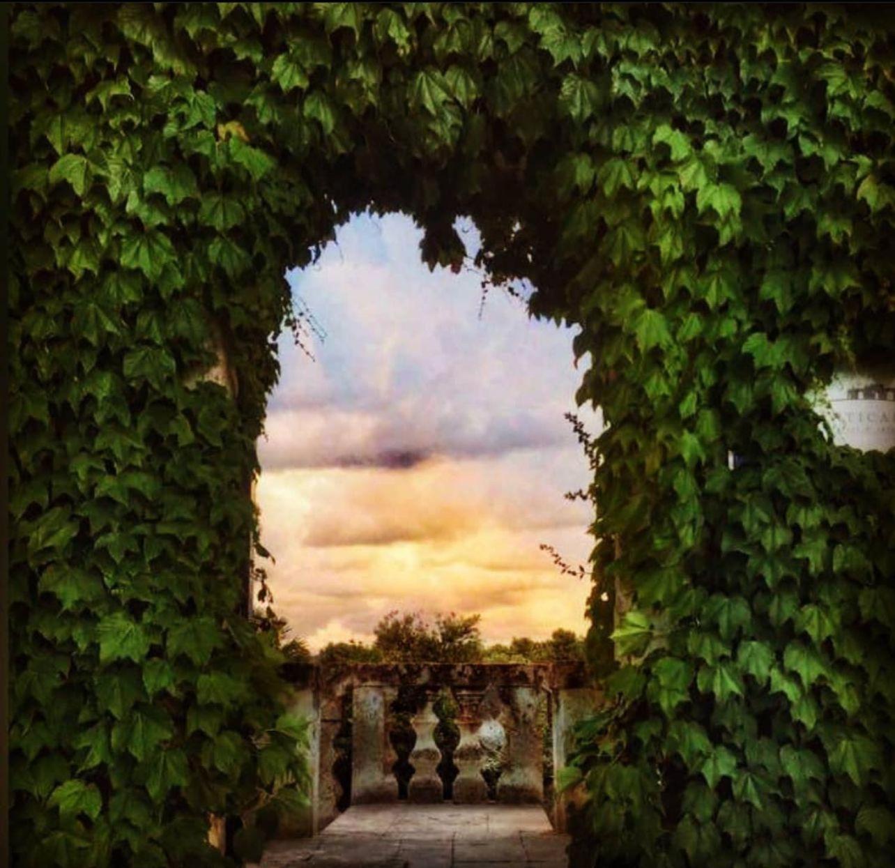 Masseria Anticalama Resort & Agriturismo Фазано Екстериор снимка