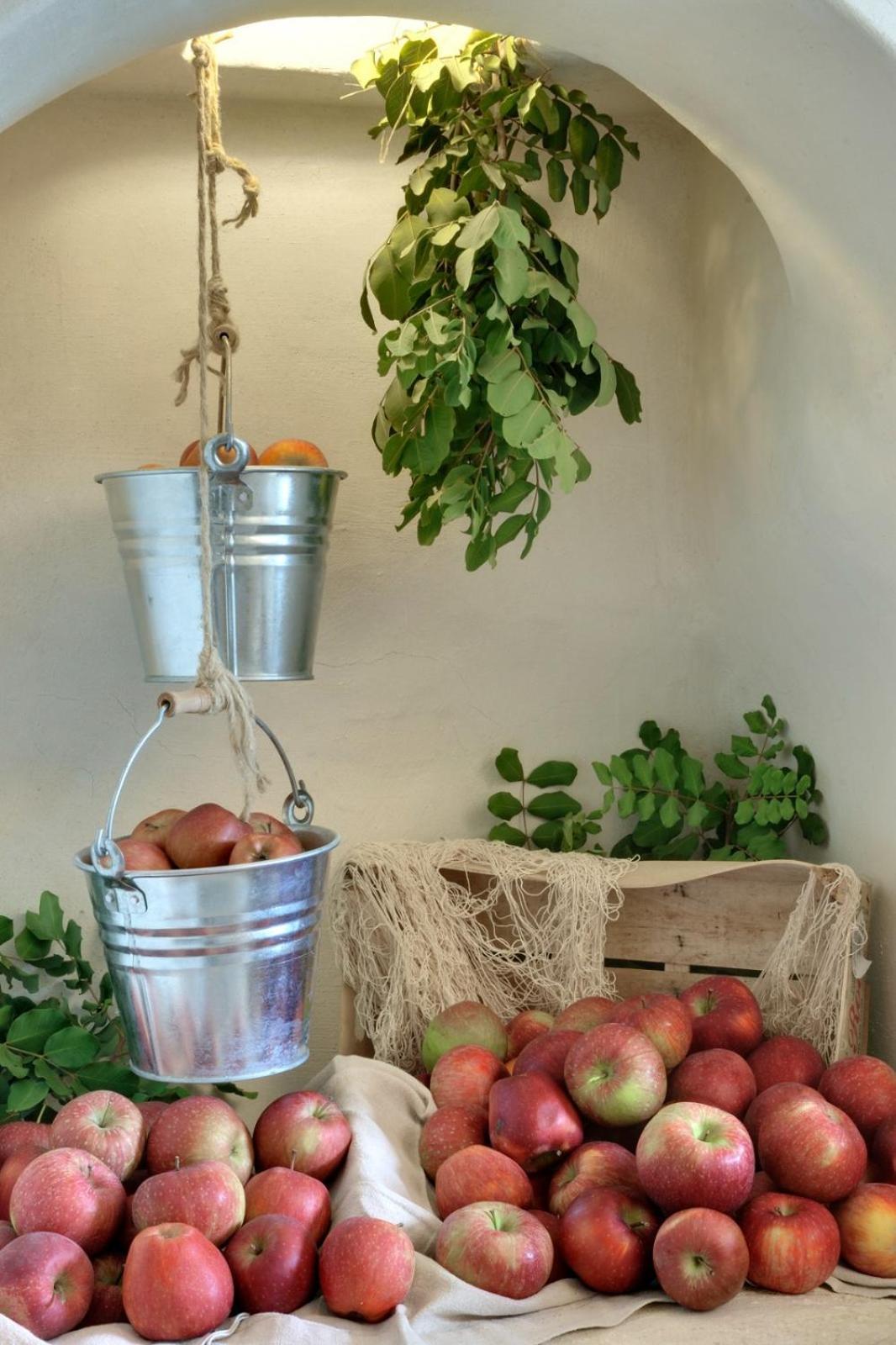 Masseria Anticalama Resort & Agriturismo Фазано Екстериор снимка